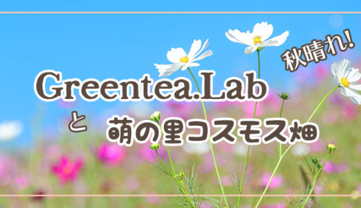 Greentea.Labと萌の里コスモス畑　秋晴れ！